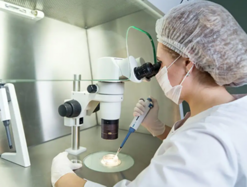 移植后能否吃韭菜鸡蛋水饺