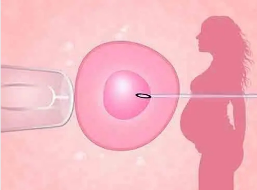 供卵价钱表-冷冻囊胚竟然有级别要求？最差囊胚也比冻胚好吗？